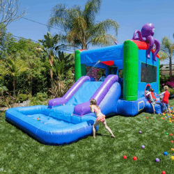 Octopus Water Slide