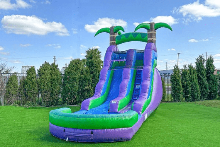 Purple Tropical Water Slide