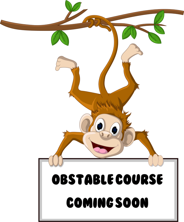 Obstacle Courses