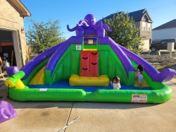 20251105 163716 1763670748 Octopus Dual Slide