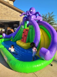 20251105 163727 1763670749 Octopus Dual Slide